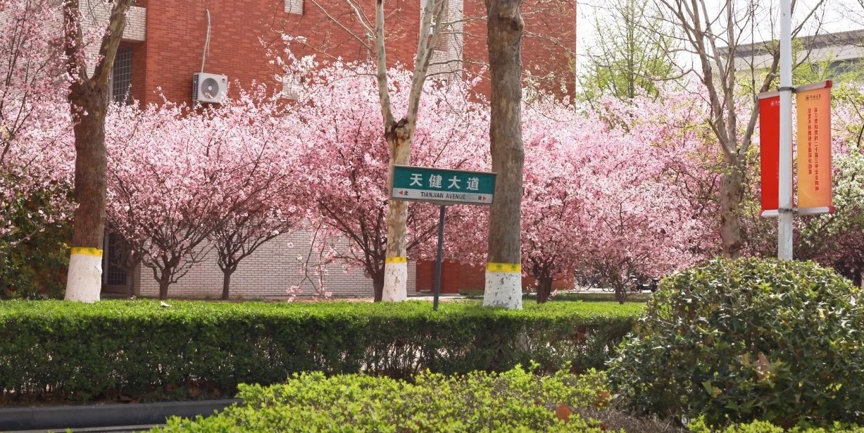 生涯
